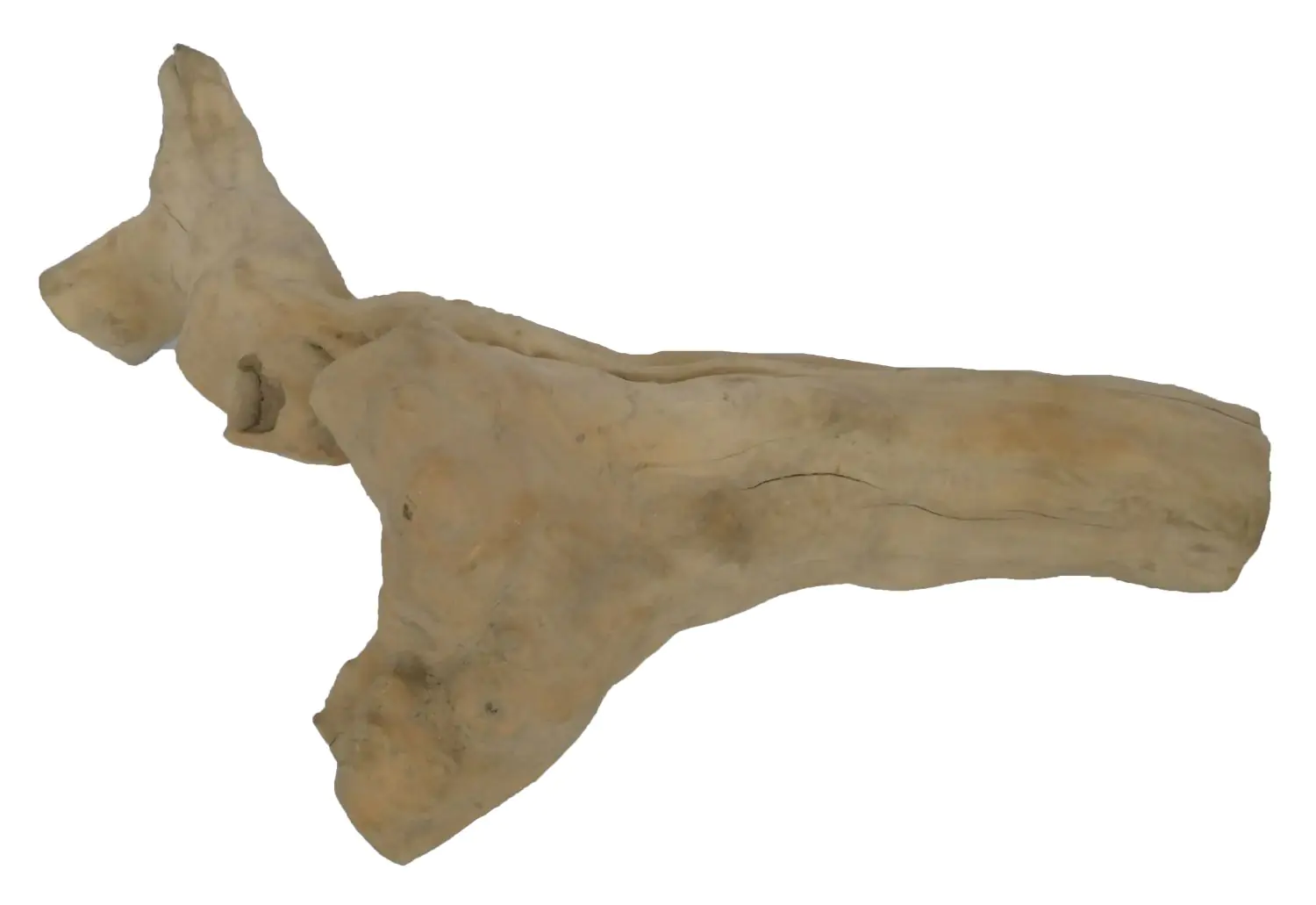  Product image 5 of the product “Teak Decko Coffee, with sizes in S, M, and L. Made from teak root (Plantation) ”